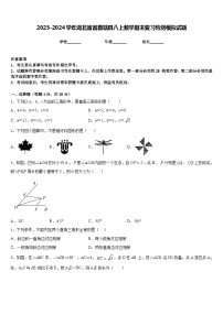 2023-2024学年湖北省省直辖县八上数学期末复习检测模拟试题含答案