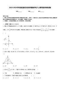 2023-2024学年湖北省武汉实验外国语学校八上数学期末预测试题含答案