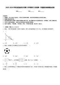 2023-2024学年湖北省武汉市第三中学数学八年级第一学期期末调研模拟试题含答案