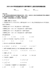 2023-2024学年湖北省武汉市十四中学数学八上期末质量检测模拟试题含答案