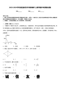 2023-2024学年湖北省武汉市市新观察八上数学期末考试模拟试题含答案