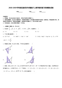 2023-2024学年湖北省武汉市武昌区八上数学期末复习检测模拟试题含答案