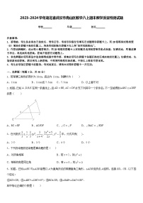 2023-2024学年湖北省武汉市青山区数学八上期末教学质量检测试题含答案