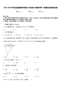 2023-2024学年湖北省襄阳市樊城区太平店镇八年级数学第一学期期末监测模拟试题含答案