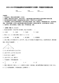 2023-2024学年湖南省娄底市双峰县数学八年级第一学期期末检测模拟试题含答案