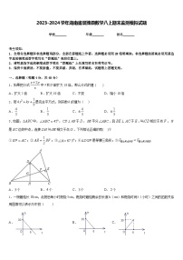 2023-2024学年湖南省双牌县数学八上期末监测模拟试题含答案