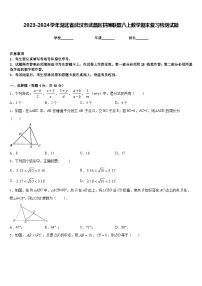 2023-2024学年湖北省武汉市武昌区拼搏联盟八上数学期末复习检测试题含答案