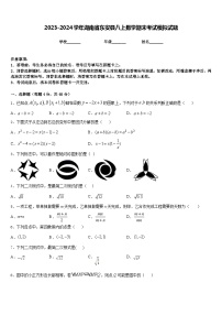 2023-2024学年湖南省东安县八上数学期末考试模拟试题含答案