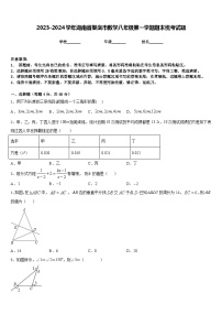 2023-2024学年湖南省娄底市数学八年级第一学期期末统考试题含答案