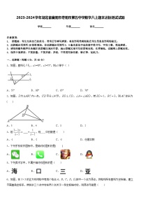 2023-2024学年湖北省襄阳市枣阳市第五中学数学八上期末达标测试试题含答案