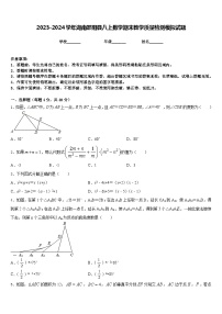 2023-2024学年湖南邵阳县八上数学期末教学质量检测模拟试题含答案