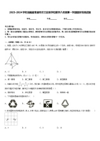 2023-2024学年湖南省常德市芷兰实验学校数学八年级第一学期期末检测试题含答案