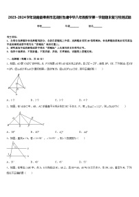 2023-2024学年湖南省郴州市北湖区鲁塘中学八年级数学第一学期期末复习检测试题含答案