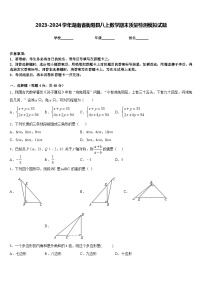 2023-2024学年湖南省衡阳县八上数学期末质量检测模拟试题含答案