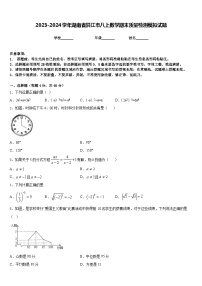 2023-2024学年湖南省洪江市八上数学期末质量检测模拟试题含答案