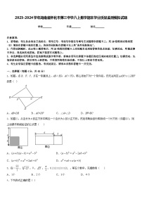 2023-2024学年湖南省怀化市第三中学八上数学期末学业质量监测模拟试题含答案