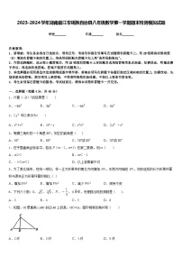 2023-2024学年湖南省江华瑶族自治县八年级数学第一学期期末检测模拟试题含答案