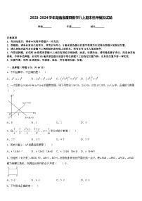 2023-2024学年湖南省澧县数学八上期末统考模拟试题含答案