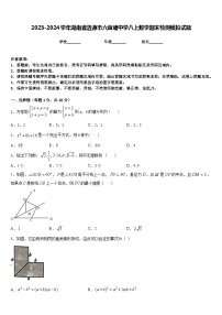 2023-2024学年湖南省涟源市六亩塘中学八上数学期末检测模拟试题含答案