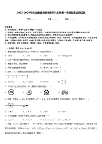 2023-2024学年湖南省浏阳市数学八年级第一学期期末监测试题含答案