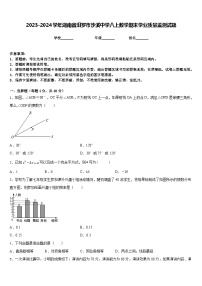 2023-2024学年湖南省汨罗市沙溪中学八上数学期末学业质量监测试题含答案