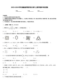 2023-2024学年湖南省邵阳市洞口县八上数学期末考试试题含答案