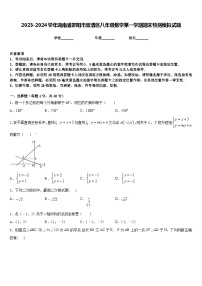 2023-2024学年湖南省邵阳市双清区八年级数学第一学期期末检测模拟试题含答案