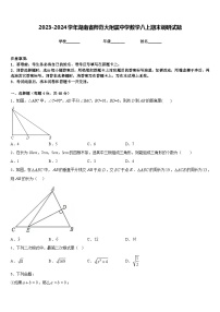 2023-2024学年湖南省师范大附属中学数学八上期末调研试题含答案