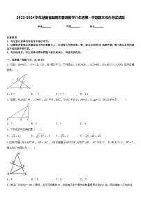 2023-2024学年湖南省益阳市普通数学八年级第一学期期末综合测试试题含答案