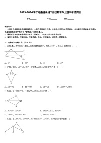 2023-2024学年湖南省永州市名校数学八上期末考试试题含答案