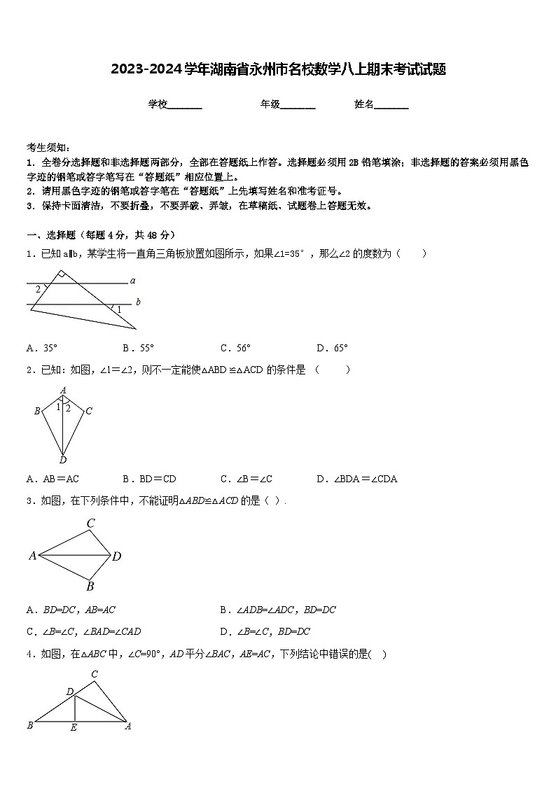 2023-2024学年湖南省永州市名校数学八上期末考试试题含答案01