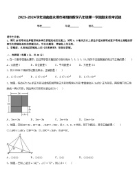 2023-2024学年湖南省永州市祁阳县数学八年级第一学期期末统考试题含答案