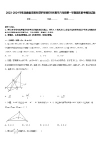 2023-2024学年湖南省岳阳市汨罗市弼时片区数学八年级第一学期期末联考模拟试题含答案