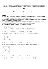 2023-2024学年湖南省长沙青雅丽发中学数学八年级第一学期期末质量跟踪监视模拟试题含答案