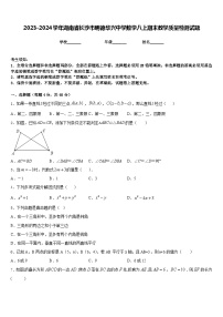 2023-2024学年湖南省长沙市明德华兴中学数学八上期末教学质量检测试题含答案