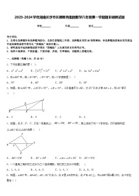 2023-2024学年湖南长沙市长郡教育集团数学八年级第一学期期末调研试题含答案