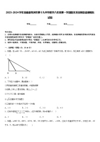 2023-2024学年湖南省株洲市第十九中学数学八年级第一学期期末质量跟踪监视模拟试题含答案