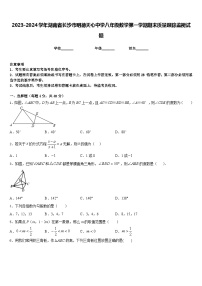 2023-2024学年湖南省长沙市明德天心中学八年级数学第一学期期末质量跟踪监视试题含答案