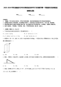 2023-2024学年湖南省长沙市长郡双语实验中学八年级数学第一学期期末质量跟踪监视模拟试题含答案