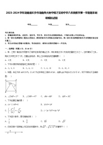 2023-2024学年湖南省长沙市湖南师大附中博才实验中学八年级数学第一学期期末调研模拟试题含答案