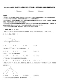 2023-2024学年湖南长沙市岳麓区数学八年级第一学期期末质量跟踪监视模拟试题含答案