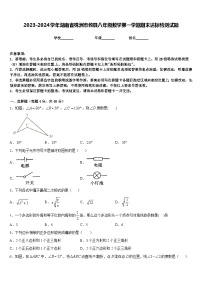 2023-2024学年湖南省株洲市攸县八年级数学第一学期期末达标检测试题含答案