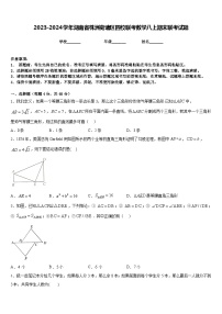 2023-2024学年湖南省株洲荷塘区四校联考数学八上期末联考试题含答案