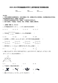 2023-2024学年湖南省重点中学八上数学期末复习检测模拟试题含答案