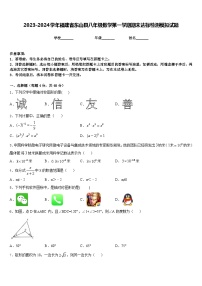 2023-2024学年福建省东山县八年级数学第一学期期末达标检测模拟试题含答案