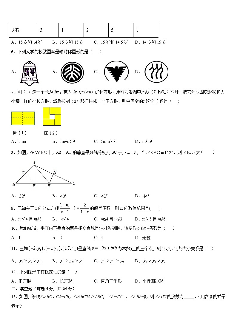 2023-2024学年福建省宁德市福鼎市数学八上期末达标检测试题含答案第2页