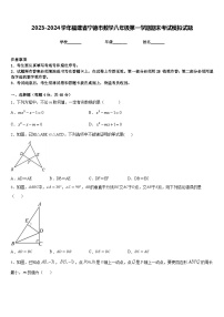 2023-2024学年福建省宁德市数学八年级第一学期期末考试模拟试题含答案