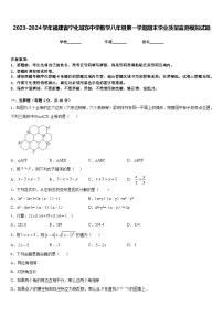 2023-2024学年福建省宁化城东中学数学八年级第一学期期末学业质量监测模拟试题含答案