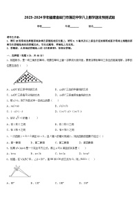 2023-2024学年福建省厦门市莲花中学八上数学期末预测试题含答案