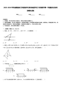 2023-2024学年福建省厦门外国语学校海沧附属学校八年级数学第一学期期末达标检测模拟试题含答案